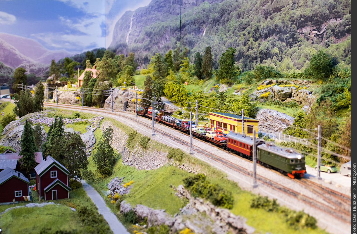 Flåmsbana Berekvam • H0 • Hans Peters