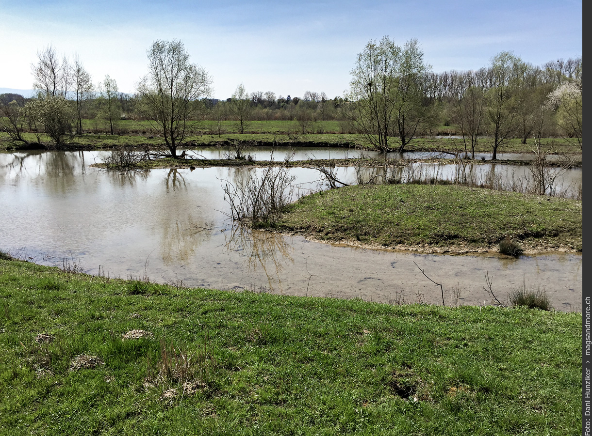 Petite Camargue Alsacienne