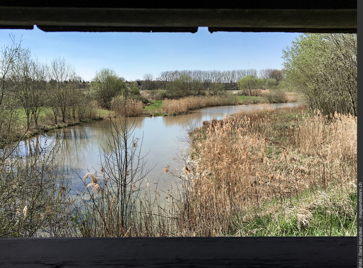 Petite Camargue Alsacienne